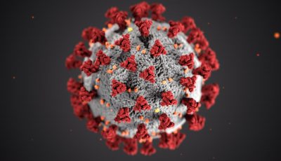 coronavirus