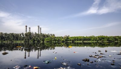 Kuva likaisesta ja jätteiden sotkemasta vedestä, taustalla näkyy rannan metsää ja metsän takaa pilkottavia tehtaan savupiippuja.